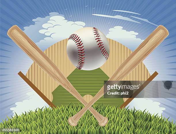 stockillustraties, clipart, cartoons en iconen met baseball, baseball bat and field plan vector - double baseball