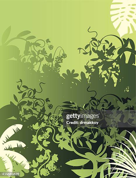 tropical background - peruvian amazon stock illustrations