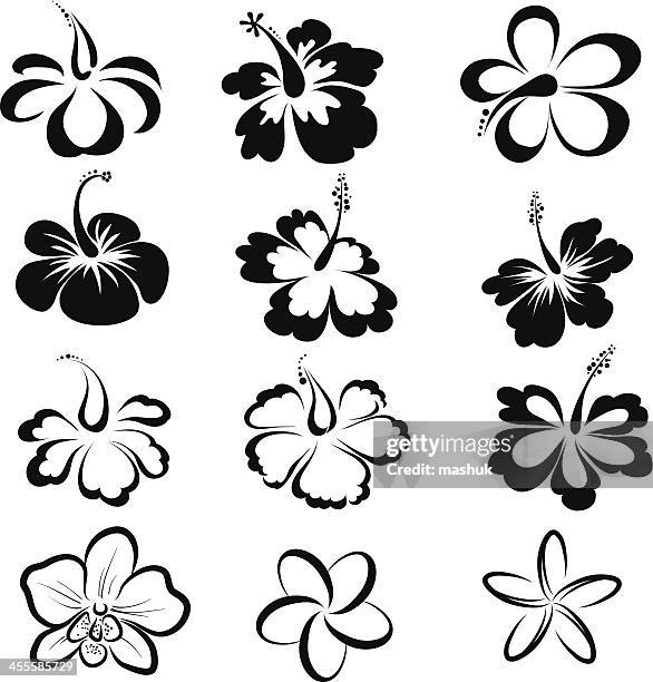 stockillustraties, clipart, cartoons en iconen met black and white drawings of tropical flowers - frangipani