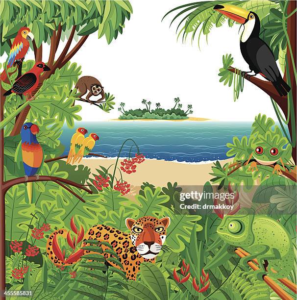 ilustraciones, imágenes clip art, dibujos animados e iconos de stock de selva tropical - estado amazonas venezuela