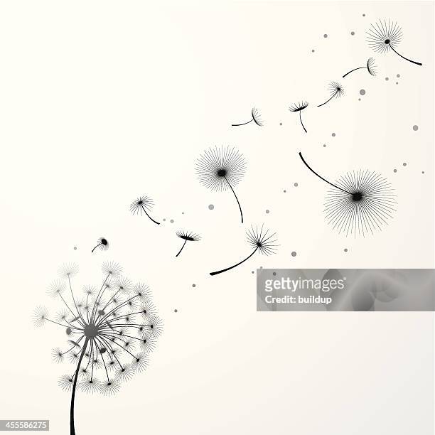 dandelion background - freedom stock illustrations