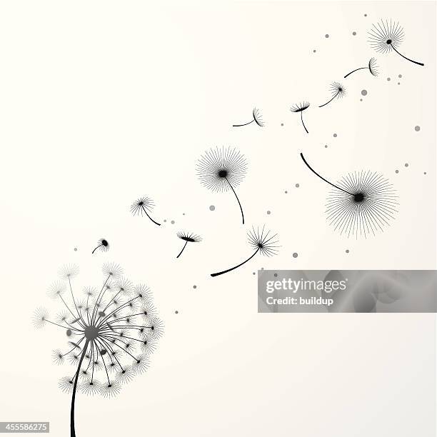 dandelion background - releasing stock illustrations