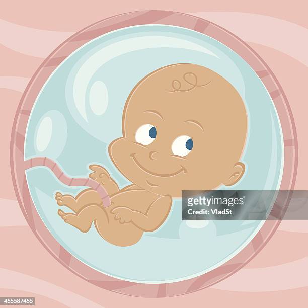 baby im bauch - baby in womb stock-grafiken, -clipart, -cartoons und -symbole