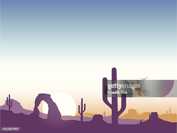 southwest cactus hintergrund - arches nationalpark stock-grafiken, -clipart, -cartoons und -symbole