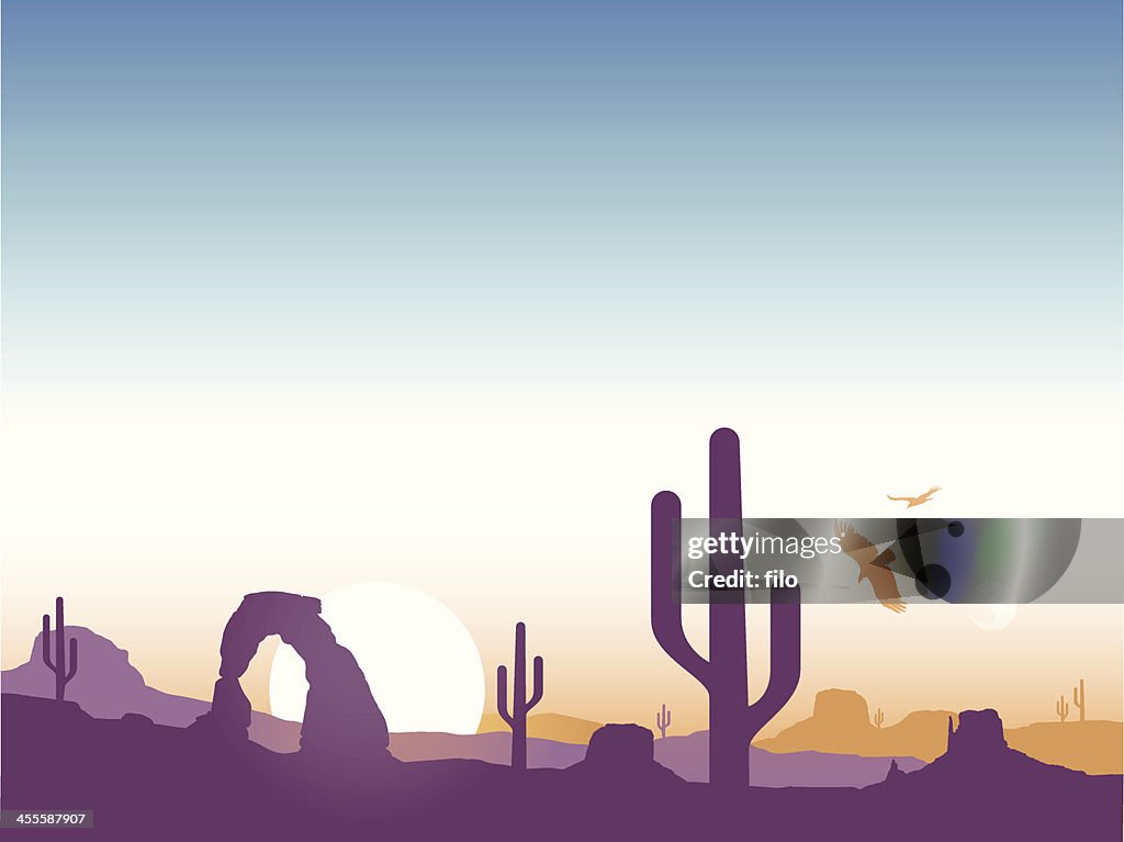 Southwest Cactus Background