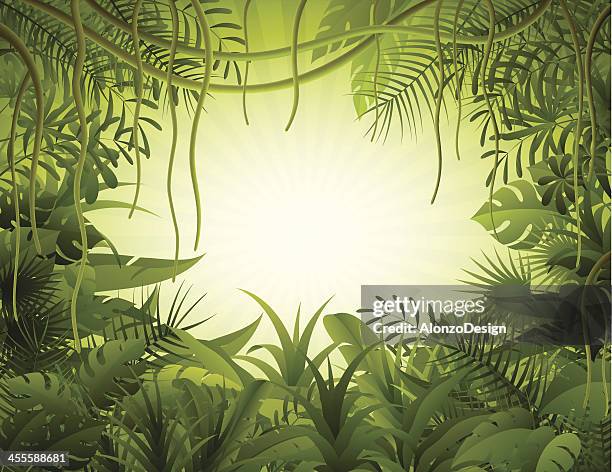 illustrations, cliparts, dessins animés et icônes de forêt tropicale - foret vierge