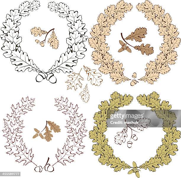 ilustraciones, imágenes clip art, dibujos animados e iconos de stock de oak corona (corona civica - hoja de roble