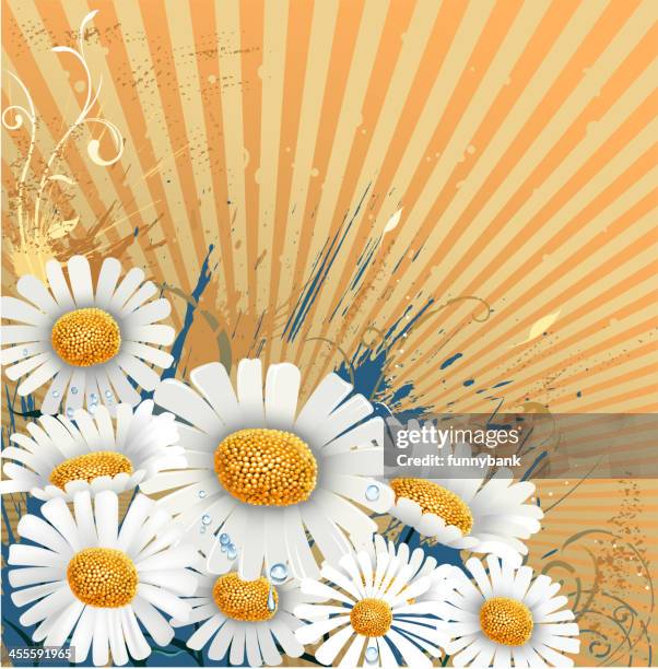 spring of daisy backround - grape leaf stock illustrations