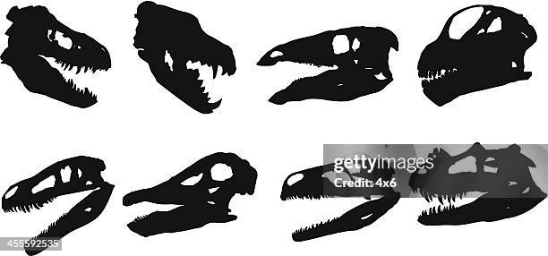 stockillustraties, clipart, cartoons en iconen met silhouette of animal skulls - dinosaurus