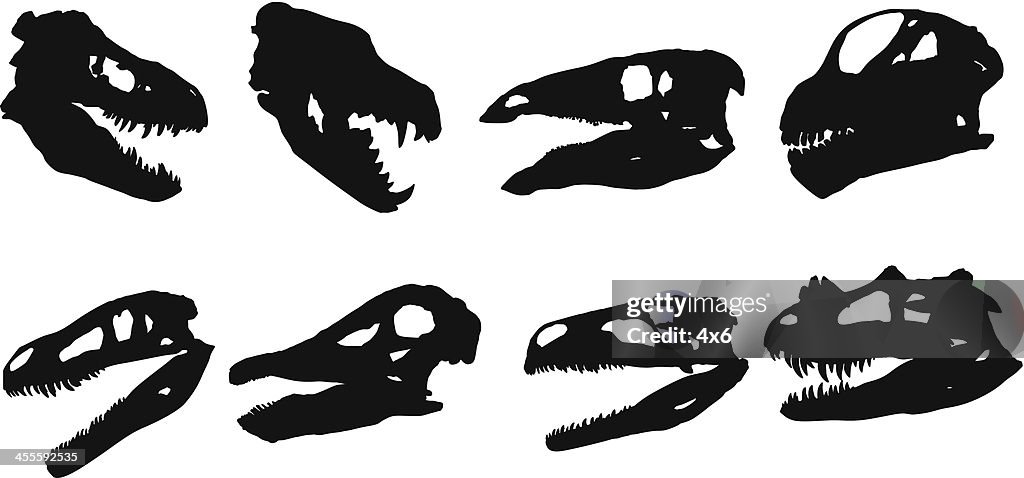 Silhouette of animal skulls
