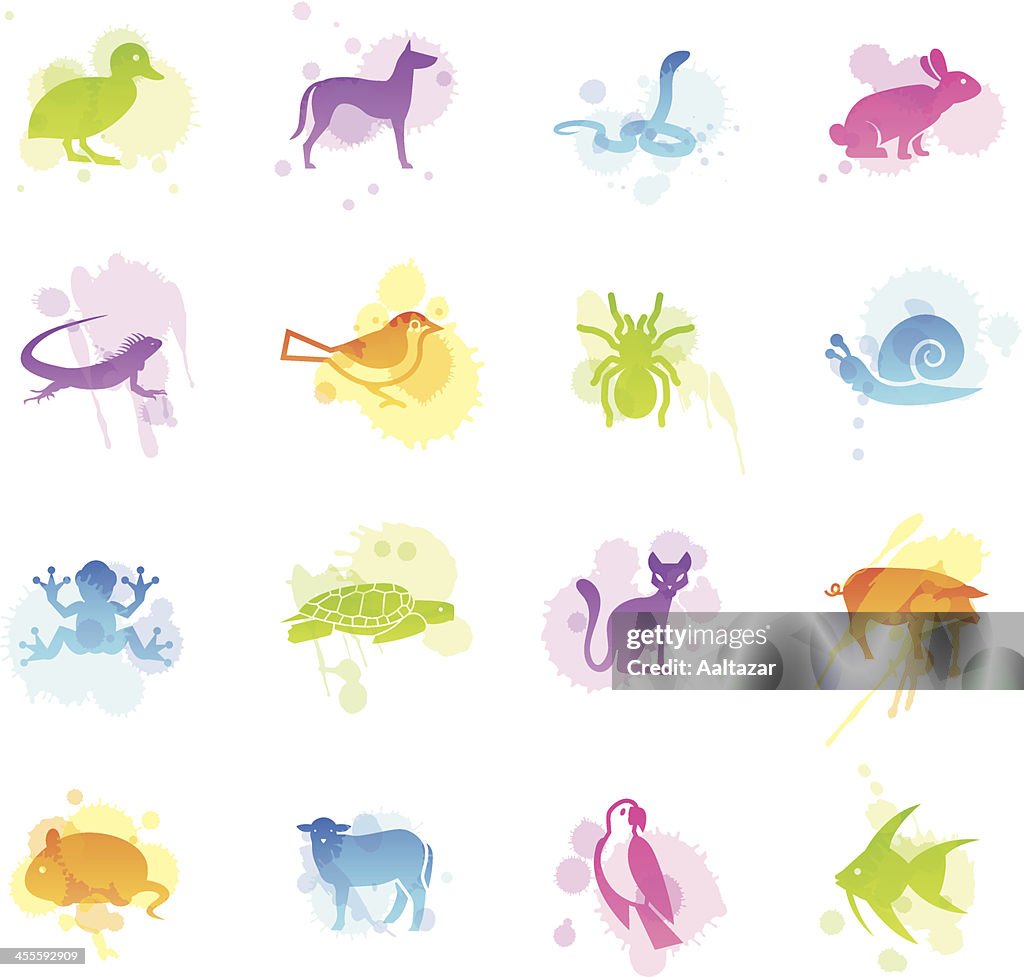Stains Icons - Pets