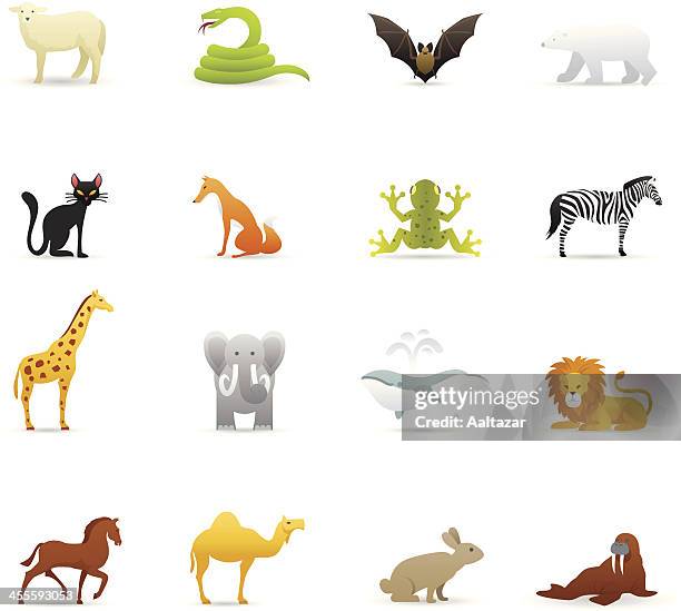 ilustraciones, imágenes clip art, dibujos animados e iconos de stock de color de los iconos de animales - camello