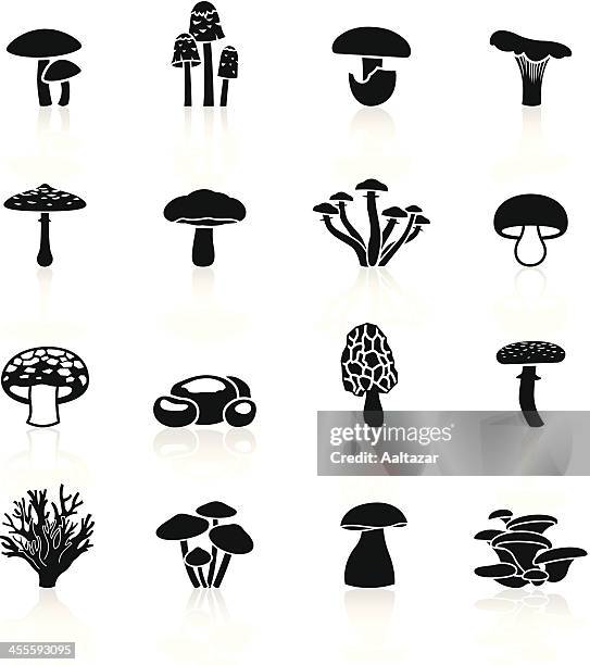 illustrazioni stock, clip art, cartoni animati e icone di tendenza di nero simboli-funghi commestibile - fungo