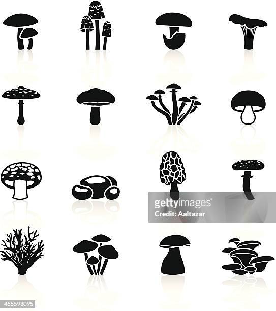ilustrações de stock, clip art, desenhos animados e ícones de preto símbolos-comestíveis de cogumelos - cogumelo
