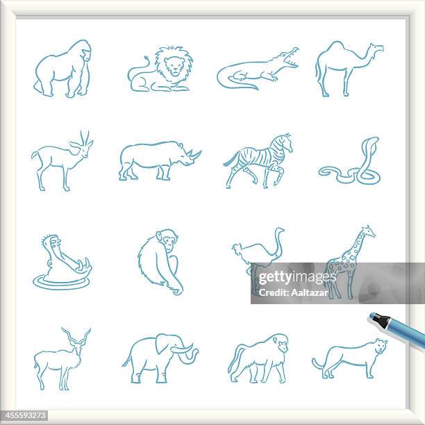 illustrazioni stock, clip art, cartoni animati e icone di tendenza di schizzo icone animali-africana - pantera nera