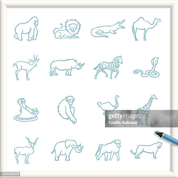 ilustrações, clipart, desenhos animados e ícones de desenho de ícones-animais africanos - avestruz