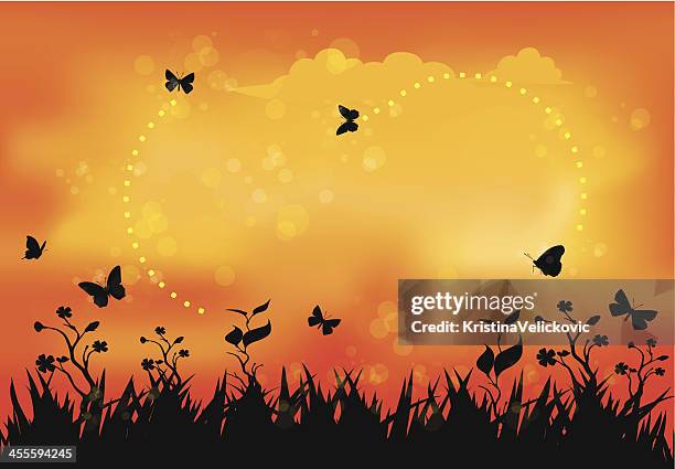 nature - safari sunset stock illustrations