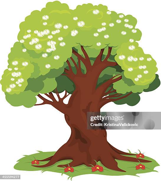 Spring Tree High-Res Vector Graphic - Getty Images