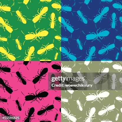 Termites Termites