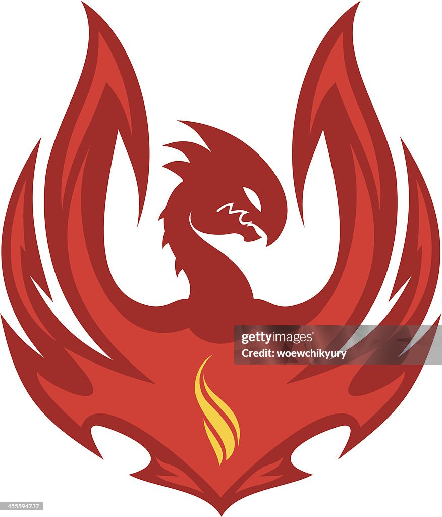 Fire dragon vector