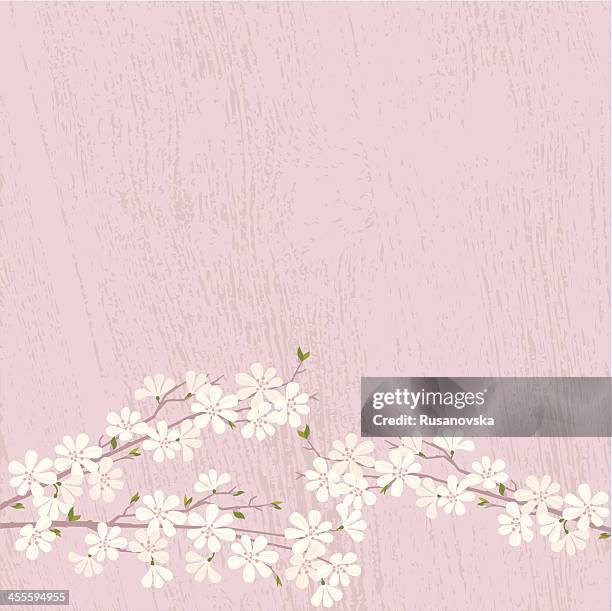 cherry blossom - apple blossom stock illustrations