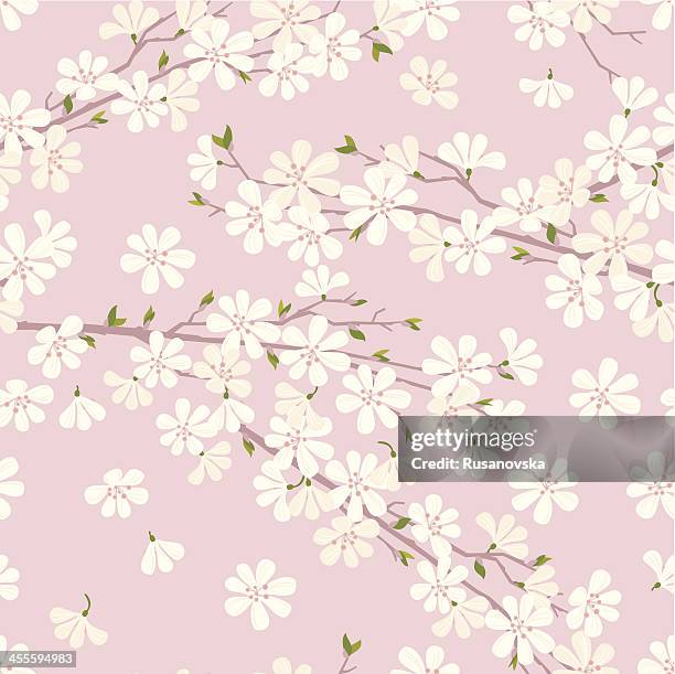 ilustraciones, imágenes clip art, dibujos animados e iconos de stock de patrón de flor de cerezo - cherry blossom