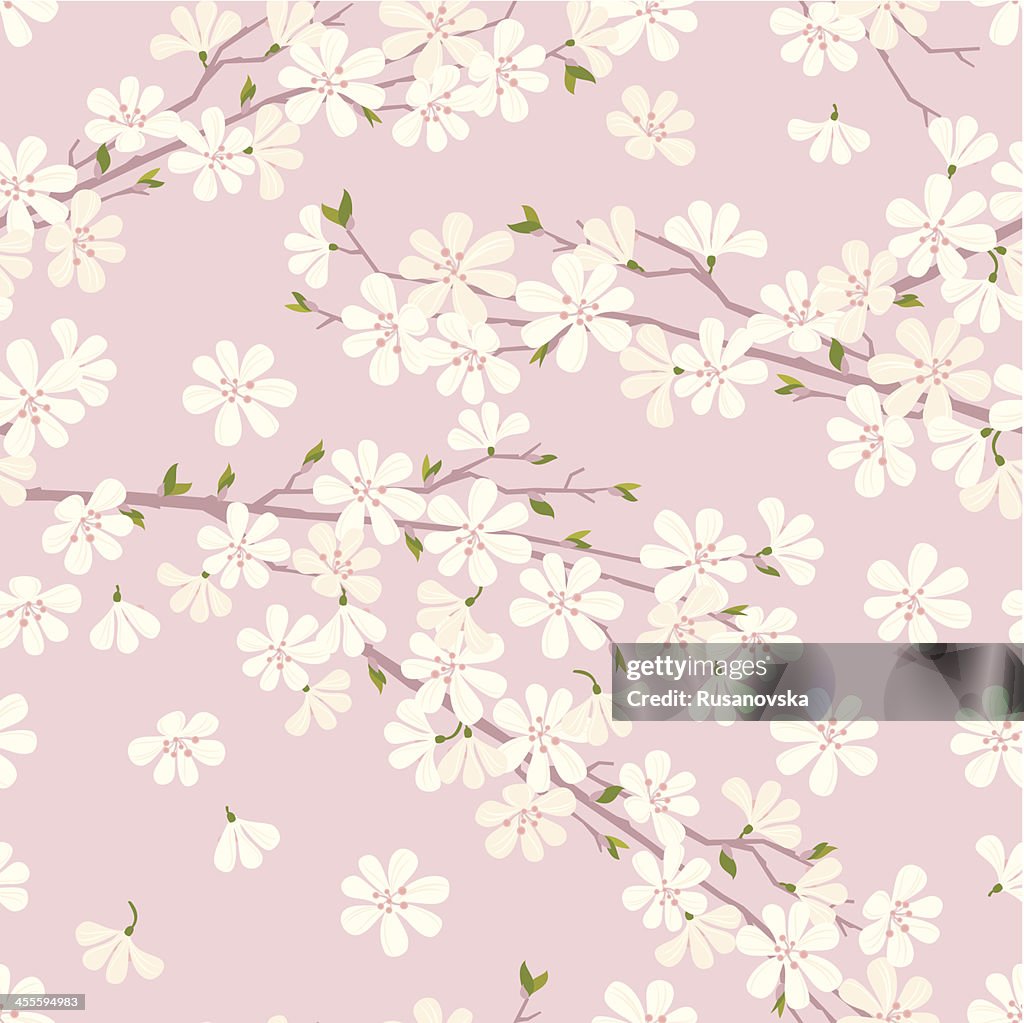 Cherry Blossom Pattern