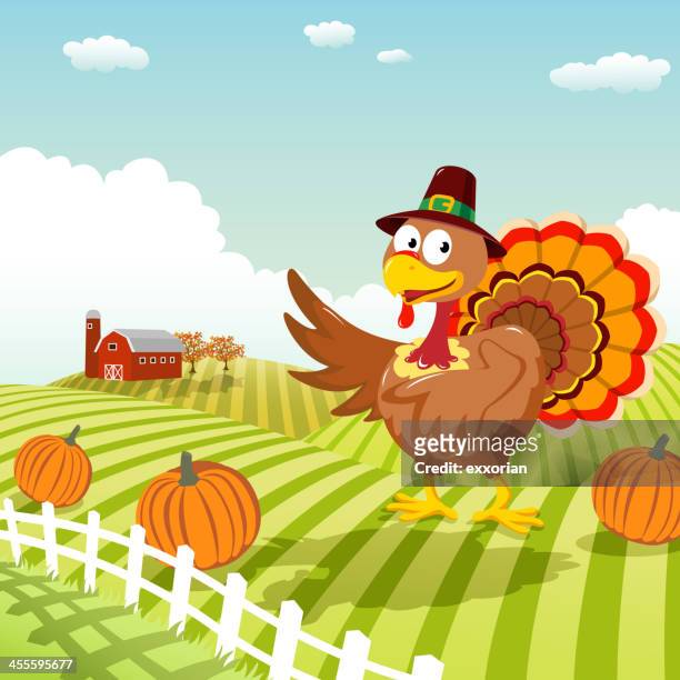 thanksgiving turkey - pilgrim stock illustrations