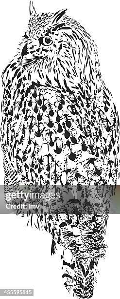 ilustraciones, imágenes clip art, dibujos animados e iconos de stock de ilustración de búho real de eurasia - búho real
