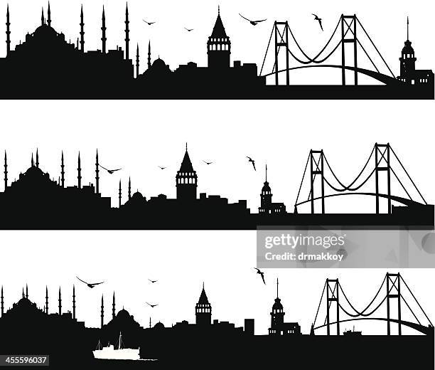 illustrations, cliparts, dessins animés et icônes de i̇stanbul sur la ville - bosphore