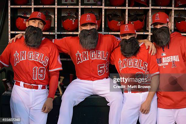 Efren Navarro, Hector Santiago, Tony Campana, and Mike Morin of the Los Angeles Angels of Anaheim pose with fake Matt Shoemaker beards before the...