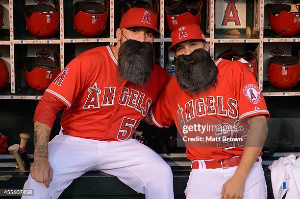 Hector Santiago and Tony Campana of the Los Angeles Angels of Anaheim pose wearing fake Matt Shoemaker beards before the game against the Houston...