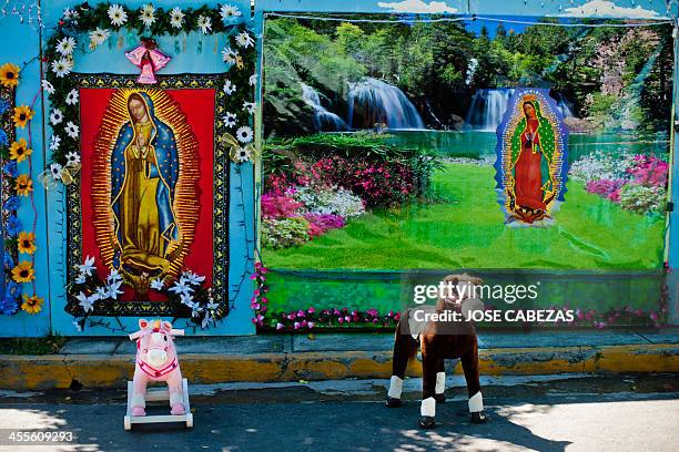 Toy horses are set for clients in a makeshift photo studio outside the Basilica de Guadalupe church in San Salvador, El Salvador on December 12, 2014...