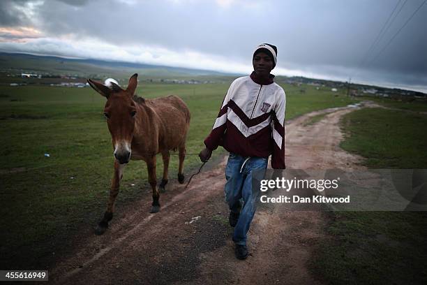 Boy walks a donkey across a hilltop as preparations continue ahead of the funeral of former South African President Nelson Mandela on December 12,...