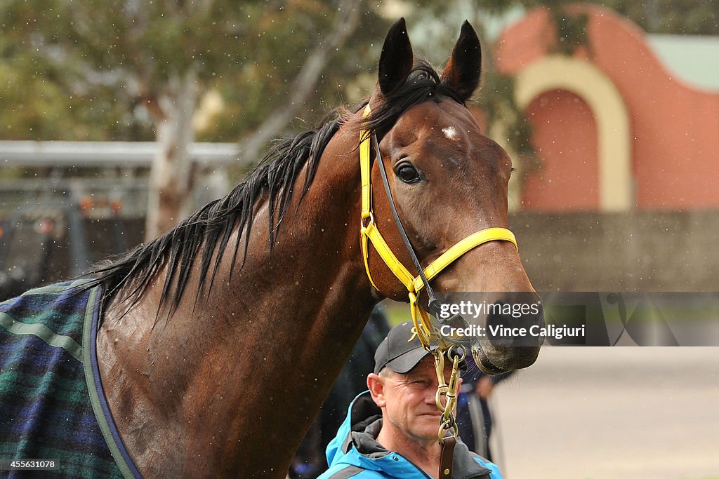 Gai Waterhouse Stable Media Call