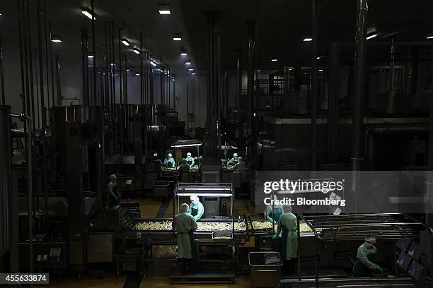 Employees arrange cooked crumbed chicken pieces as they move along a conveyor in the precooked and frozen meat section at the Charoen Pokphand Foods...