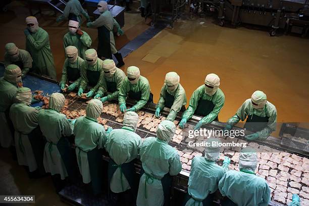 Employees arrange uncooked crumbed chicken pieces as they move along a conveyor in the precooked and frozen meat section at the Charoen Pokphand...