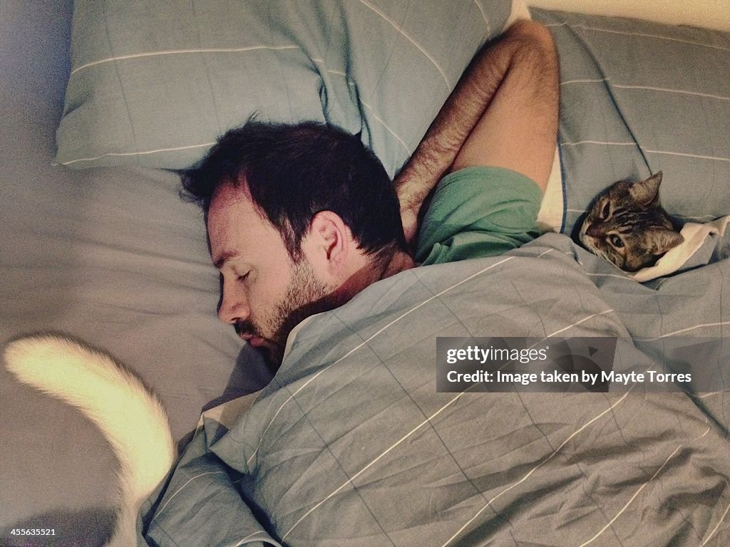 Man sleeping with cats