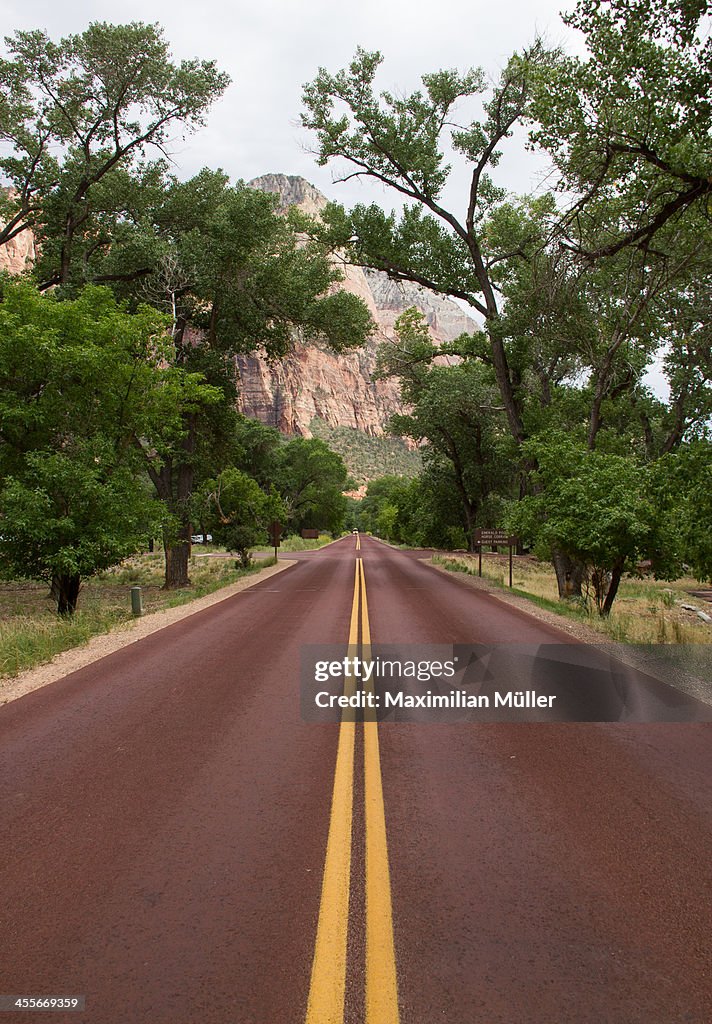 The long road, Zion National Park, Utah