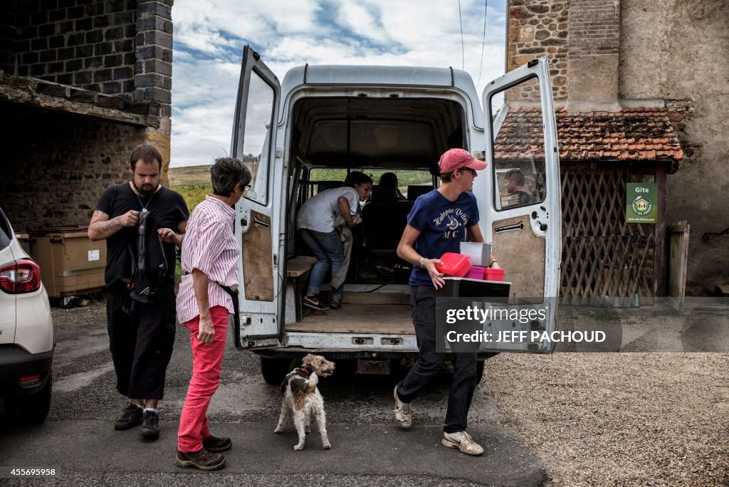 FRANCE-WINE-HARVEST-BEAUJOLAIS