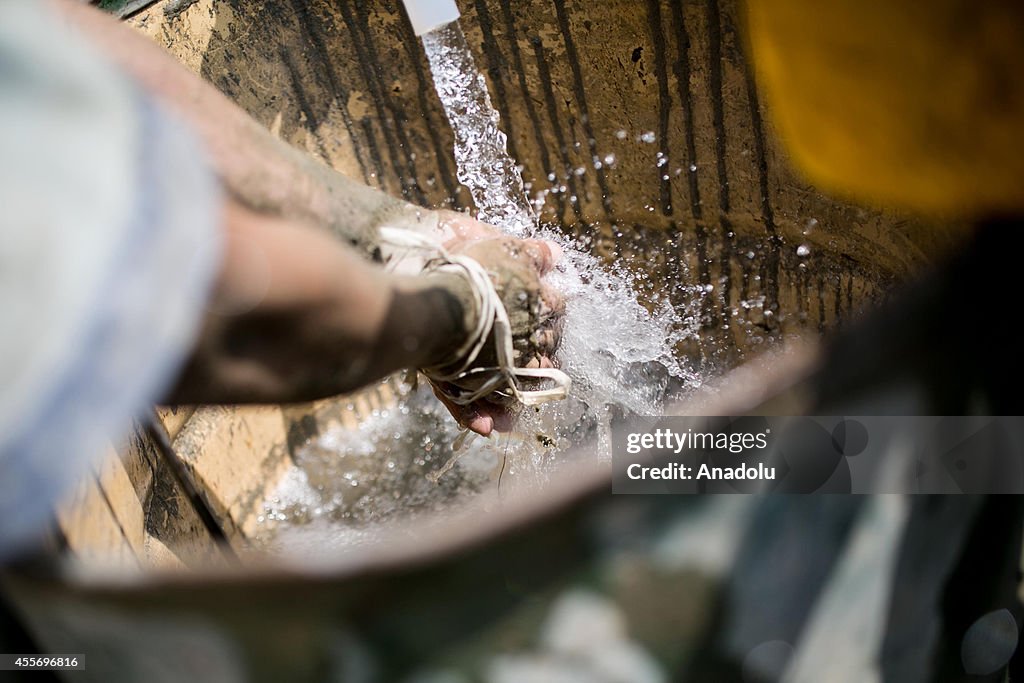 Egyptian construction workers in Cairo