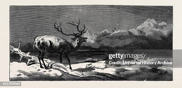 'Coming Events Cast Their Shadows Before Them.' Painted By E. Landseer, R.A.