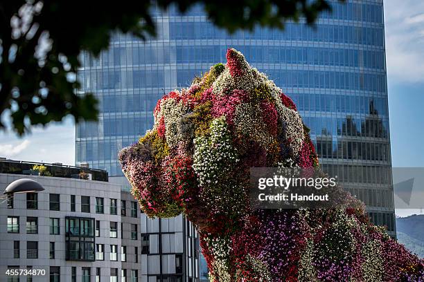 In this handout image provided by Red Bull, "Puppy" by Jeff Koons, a 13 metre tall topiary sculpture outside the Guggenheim Museum prior to the sixth...