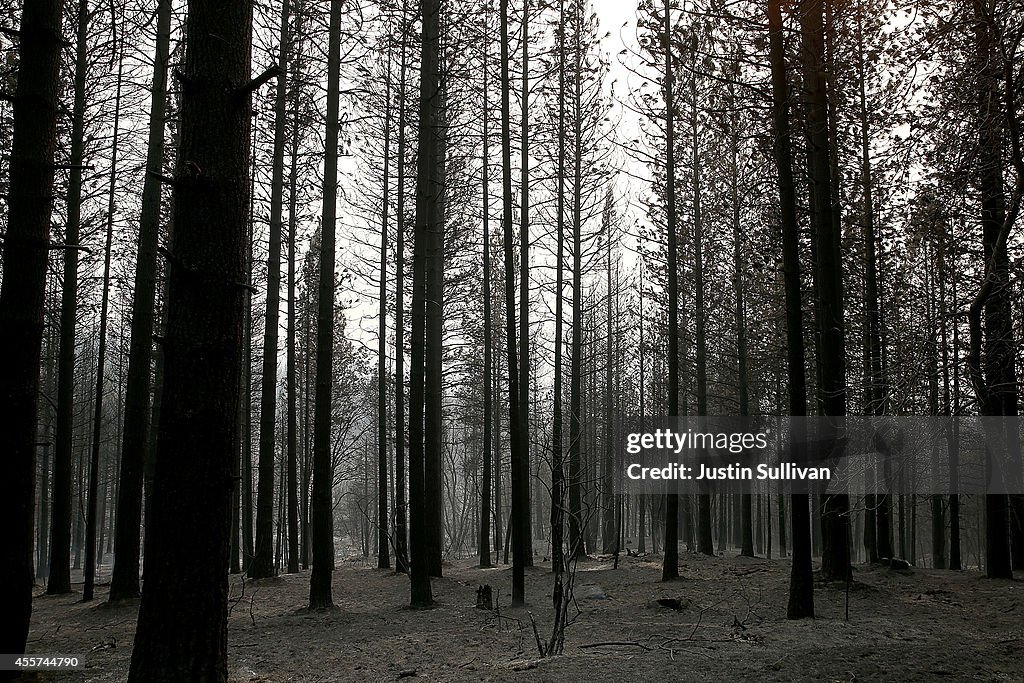 California's King Fire Continues To Burn, Scorching Over 70,000 Acres