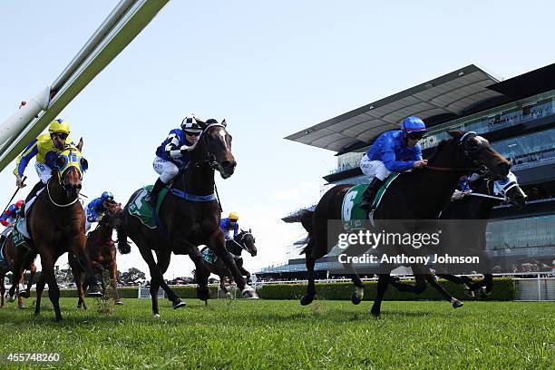 Kerrin McEvoy rides Malice during George Main Stakes Day at Royal Randwick Racecourse on September 20, 2014 in Sydney, Australia.
