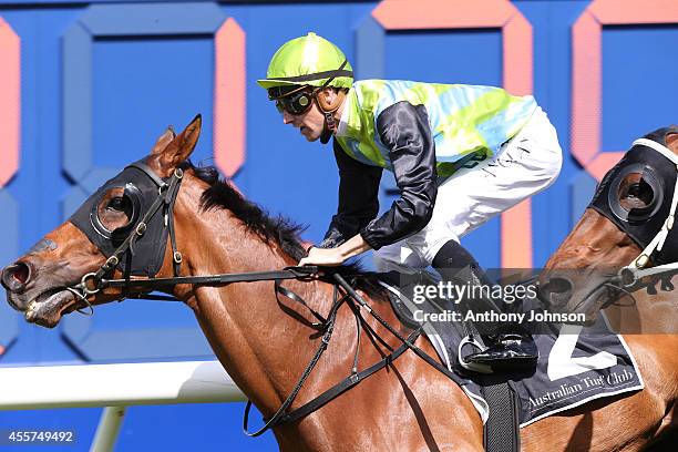 Tye Angland rides Manawanui during George Main Stakes Day at Royal Randwick Racecourse on September 20, 2014 in Sydney, Australia.