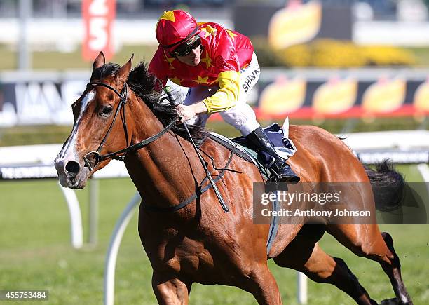 Blake Shinn rides First Seal during George Main Stakes Day at Royal Randwick Racecourse on September 20, 2014 in Sydney, Australia.