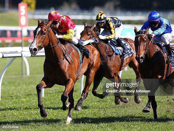 Blake Shinn rides First Seal during George Main Stakes Day at Royal Randwick Racecourse on September 20, 2014 in Sydney, Australia.