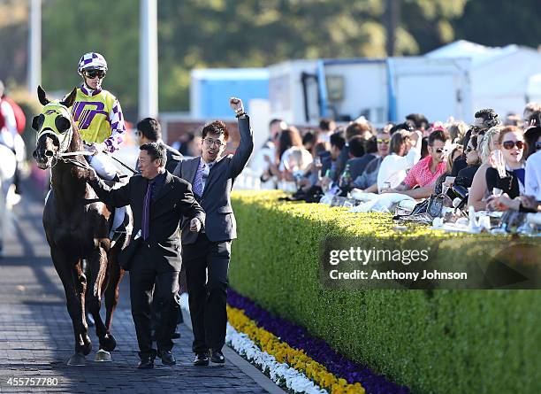 Zac Purton rides Sacred Falls during George Main Stakes Day at Royal Randwick Racecourse on September 20, 2014 in Sydney, Australia.