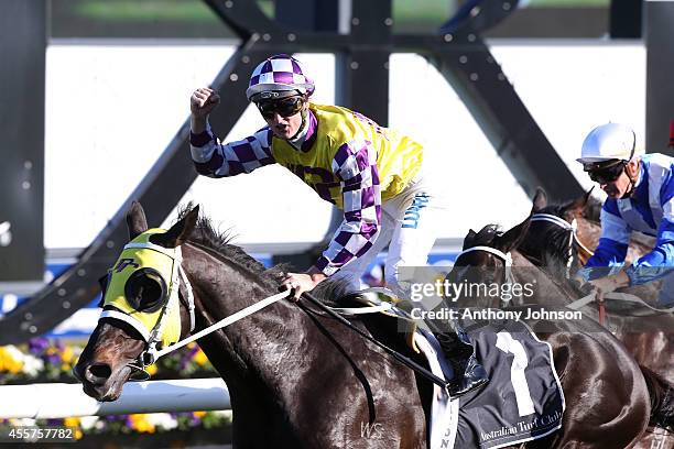 Zac Purton rides Sacred Falls during George Main Stakes Day at Royal Randwick Racecourse on September 20, 2014 in Sydney, Australia.